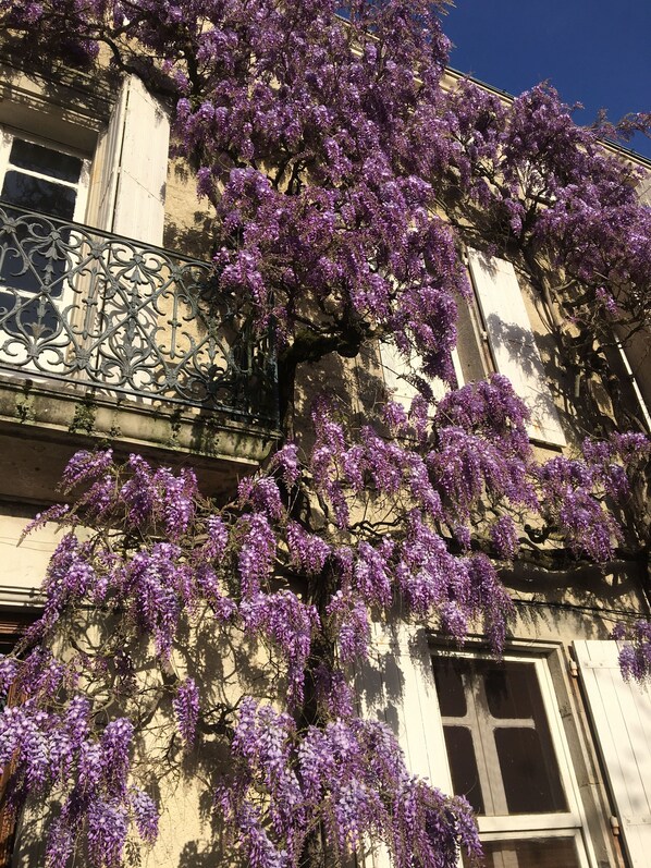 Detalle del exterior