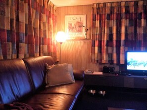 TV, DVD player, video library