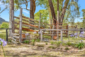 A rustic wooden fence with a metal gate, surrounded by trees and purple flowers. - Wallaby Gully Farm Cottage Peace, Quiet, Serenity (Ellalong)