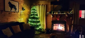 Télévision, cheminée, livres