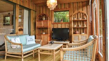 Tv, pejs, dvd-afspiller