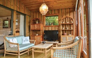TV, fireplace, DVD player