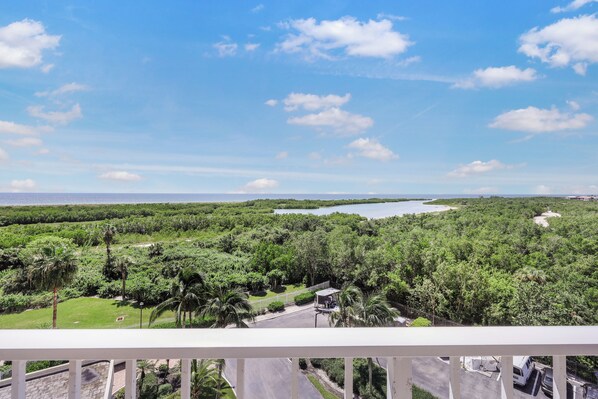 A view from a balcony overlooking a lush green landscape with a body of water in the distance.