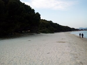 Nära stranden