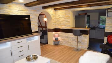 Télévision, cheminée, table de tennis de table, livres