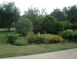 Property grounds - Oase im Dresdner Westen (Dresden)