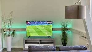Ein modernes Wohnzimmer mit einem Flachbildfernseher auf einem Lowboard, grauen Sofas und Zimmerpflanzen.