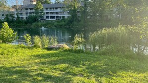 Une vue sur le lac, avec un bâtiment doté de balcons et un espace verdoyant au premier plan.