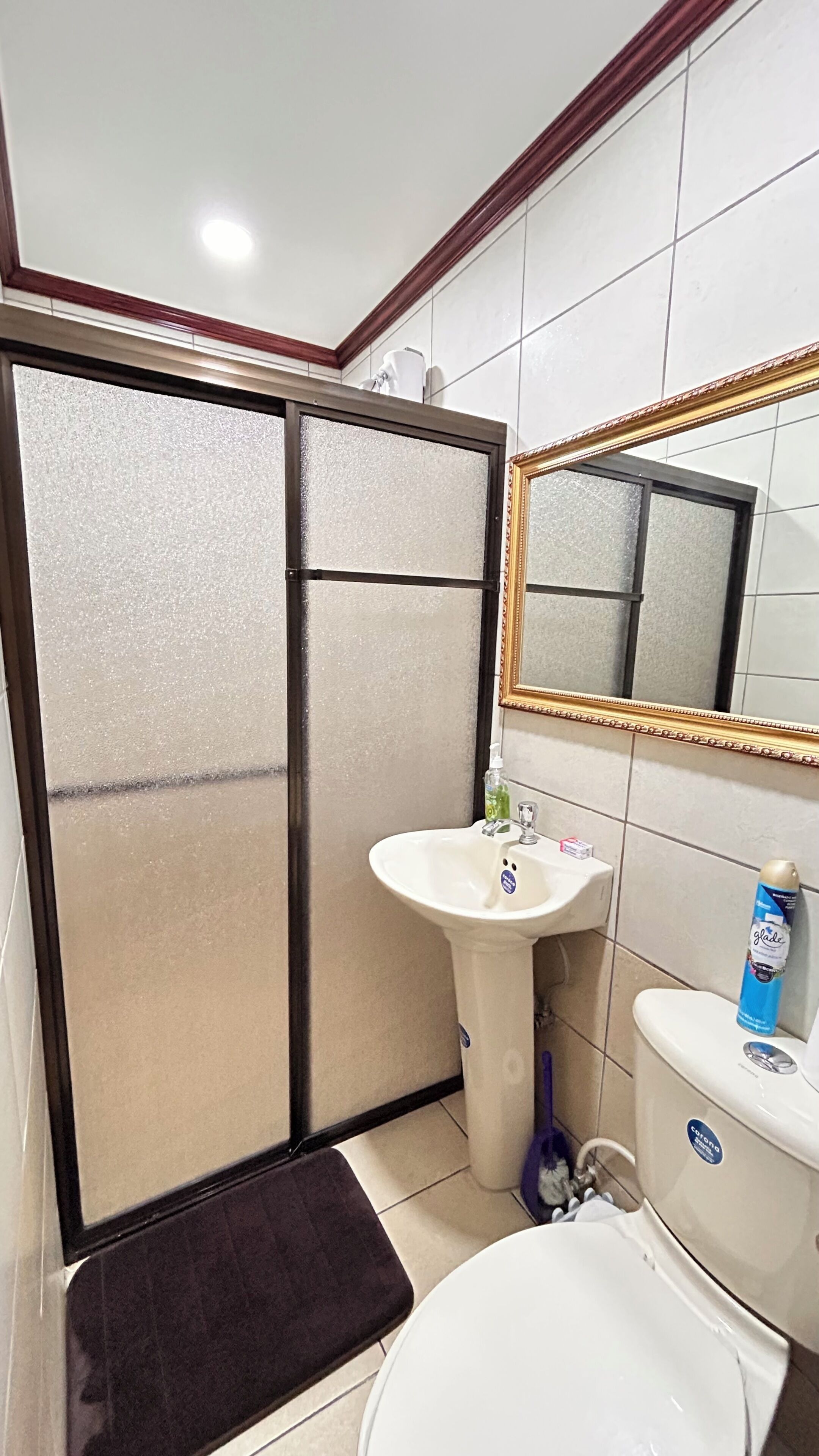Shower, hair dryer, soap, toilet paper