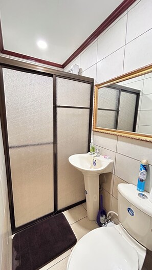 Ducha, secador de pelo, jabón y papel higiénico