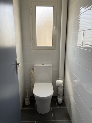Shower, hair dryer, toilet paper