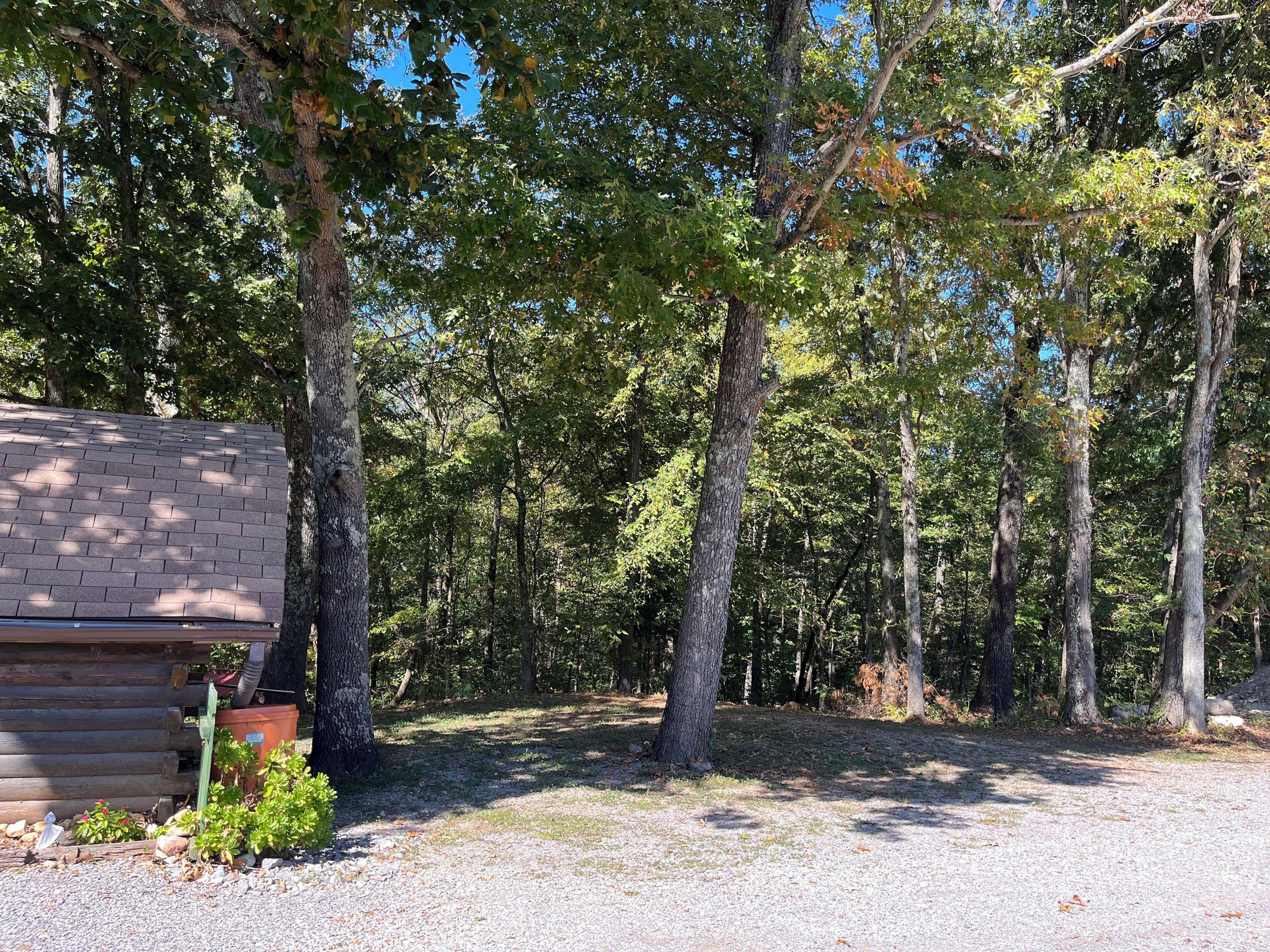 A rustic cabin with a gravel driveway and a dense forest in the background.