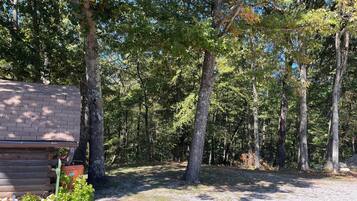 A rustic cabin with a gravel driveway and a dense forest in the background.