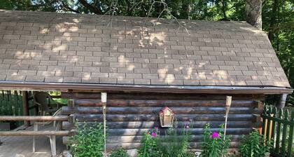 Rustic Bee Cabin - camping