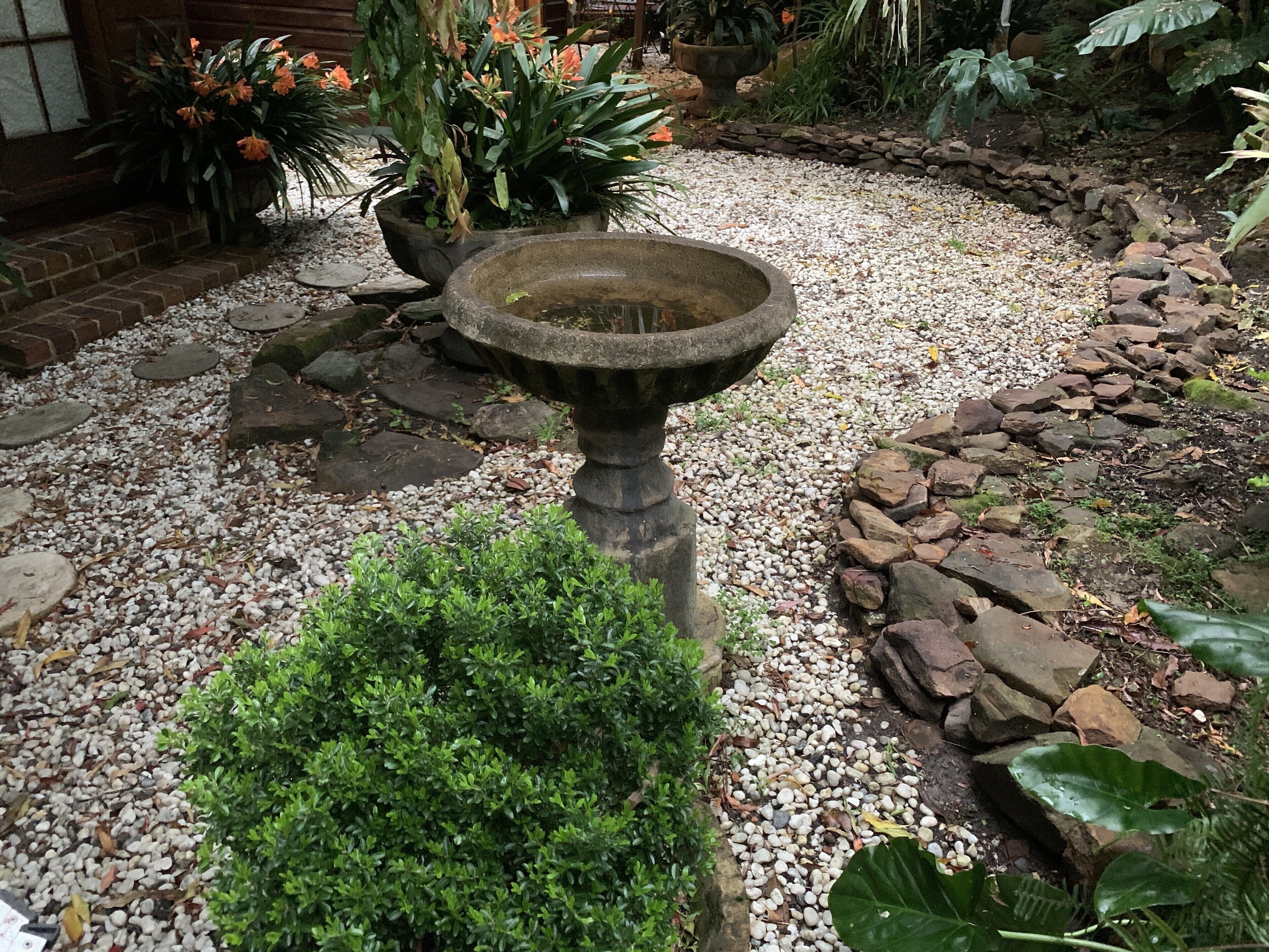 Garden Studio cabin Self contained with external bathroom — image 24