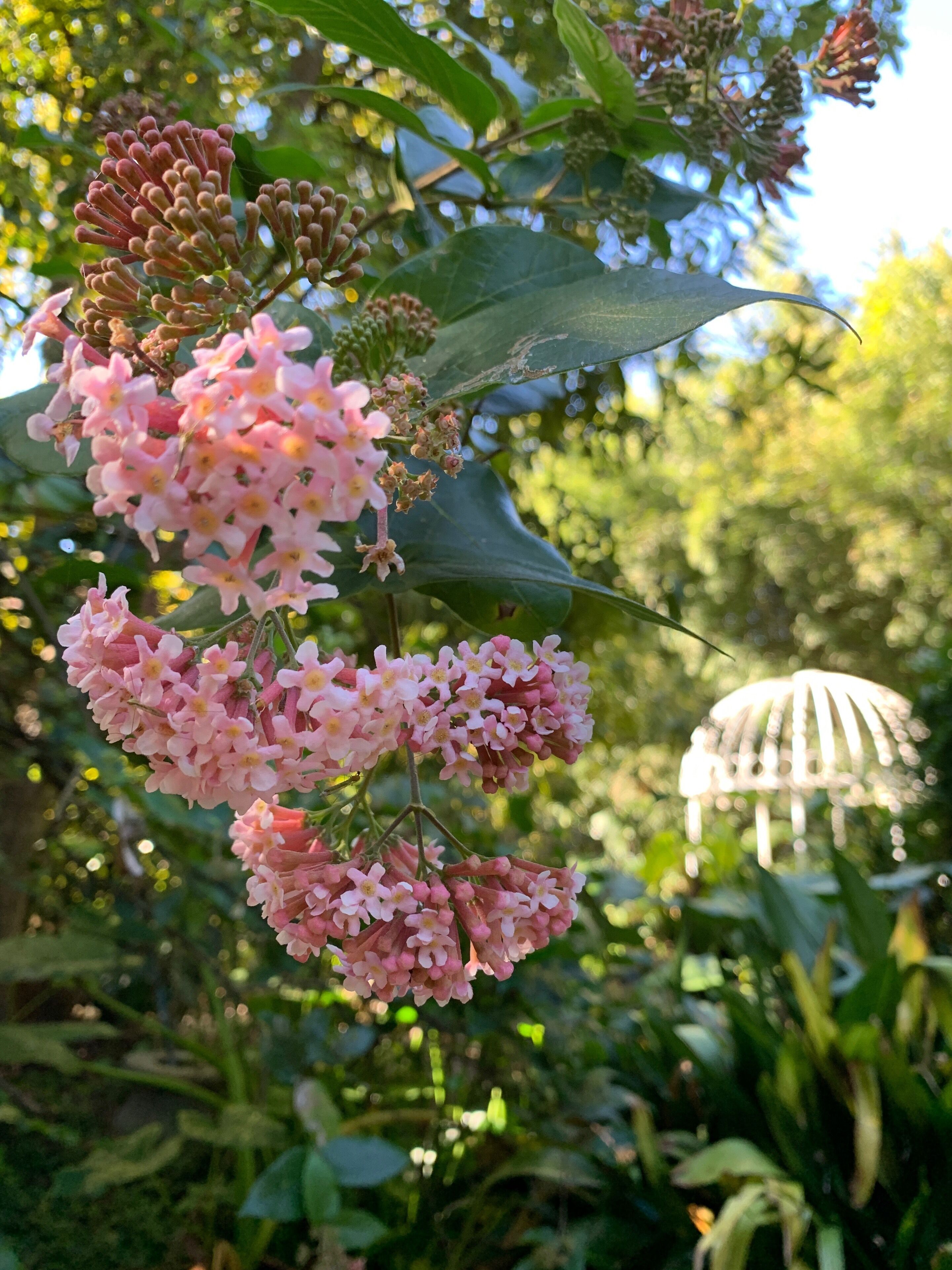 Garden Studio cabin Self contained with external bathroom — image 18