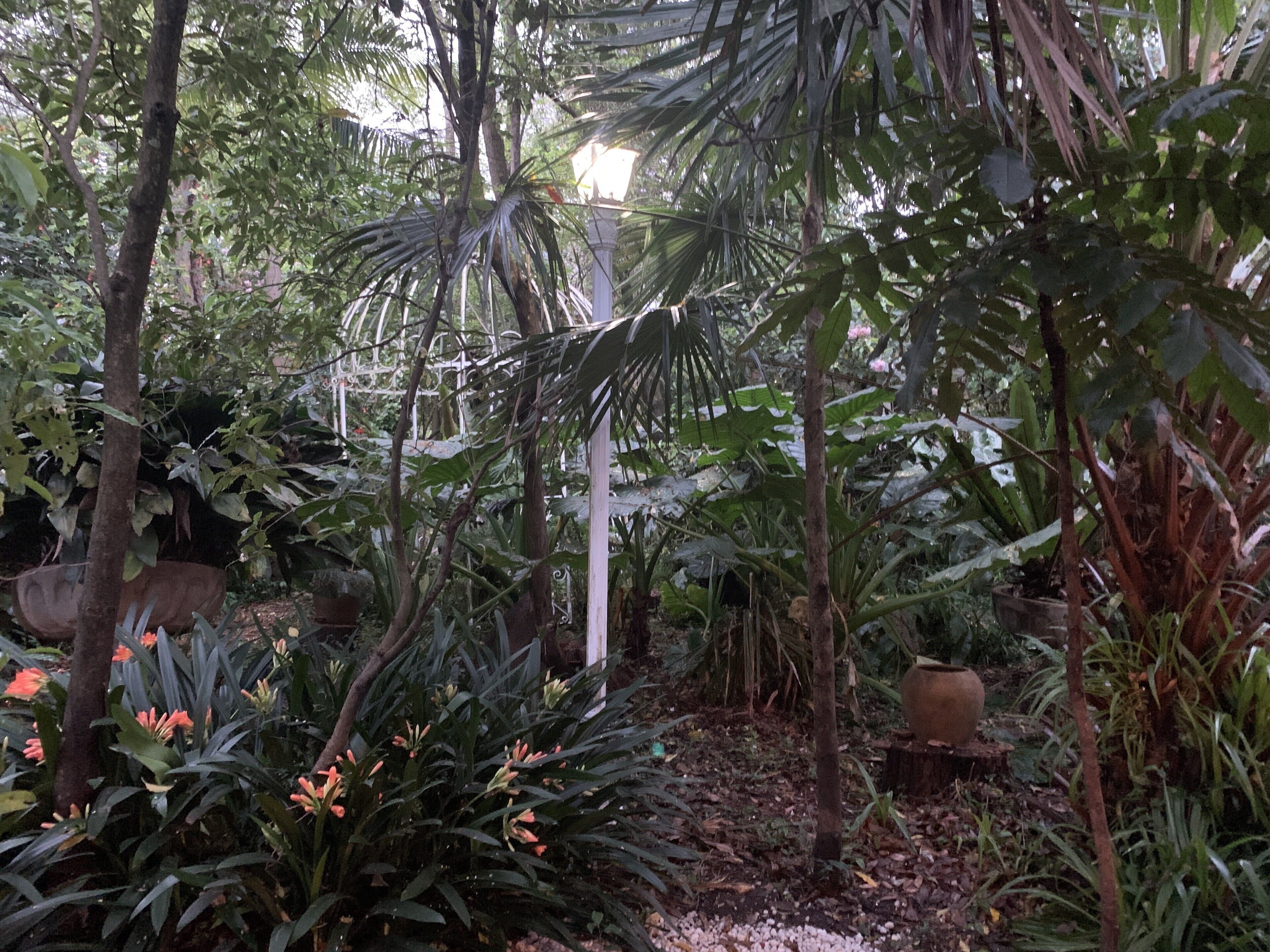 Garden Studio cabin Self contained with external bathroom — image 27