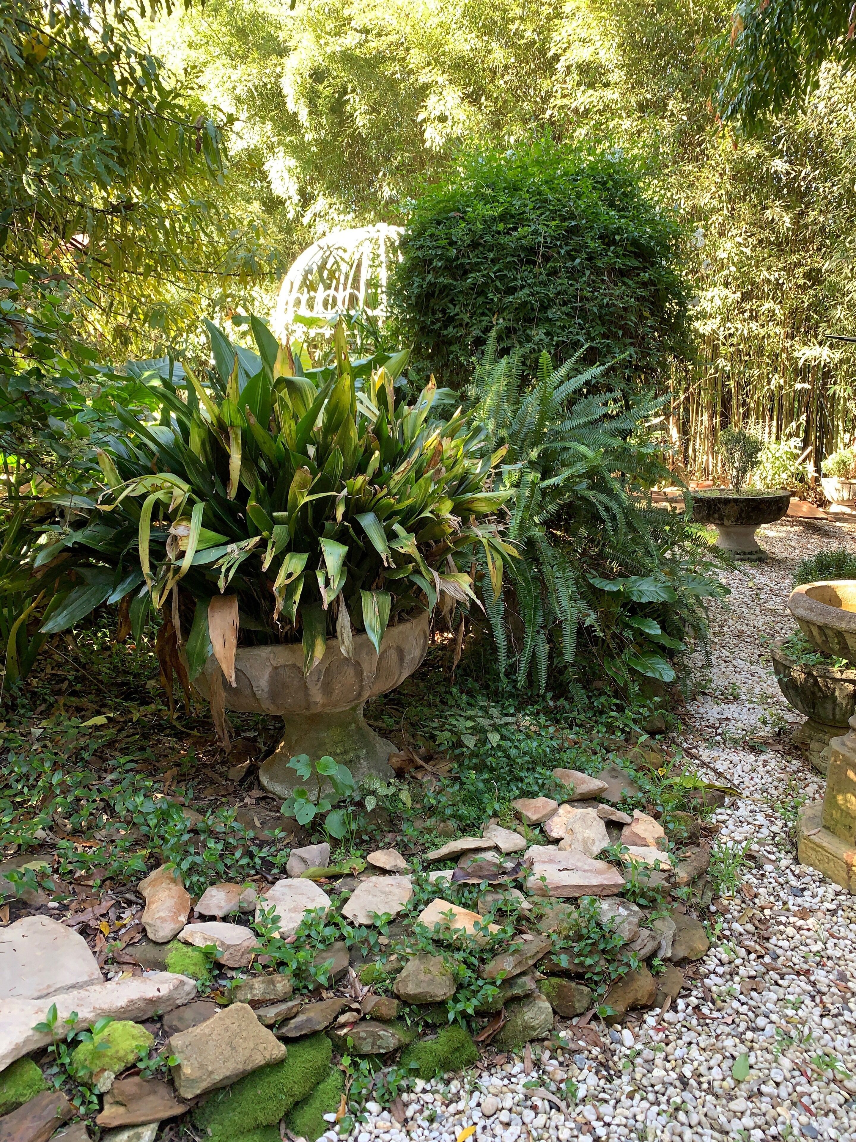 Garden Studio cabin Self contained with external bathroom — image 15