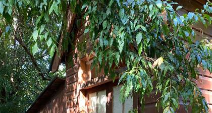 Garden Studio cabin Self contained with external bathroom