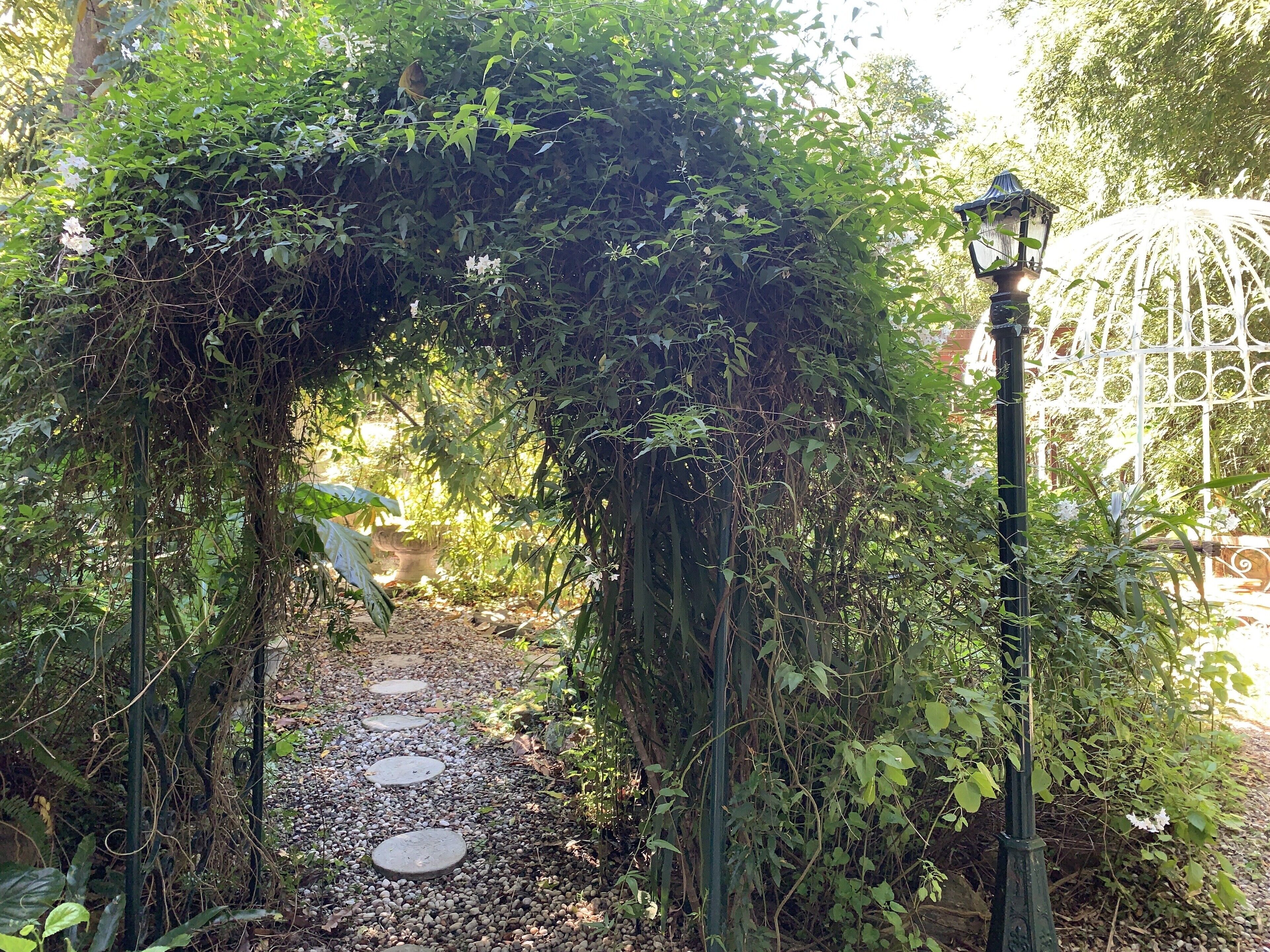 Garden Studio cabin Self contained with external bathroom — image 20
