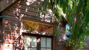 Eine Holzhütte mit Glastür, umgeben von Pflanzen und Kies.