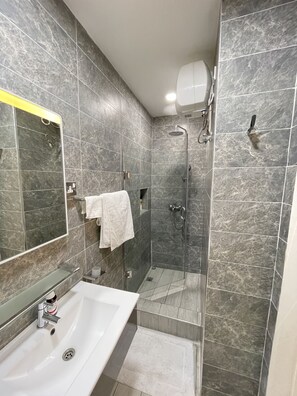 Shower, towels, toilet paper