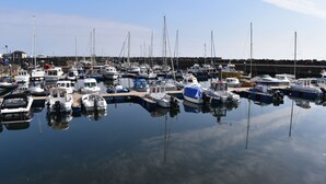 Een jachthaven met verschillende boten afgemeerd.