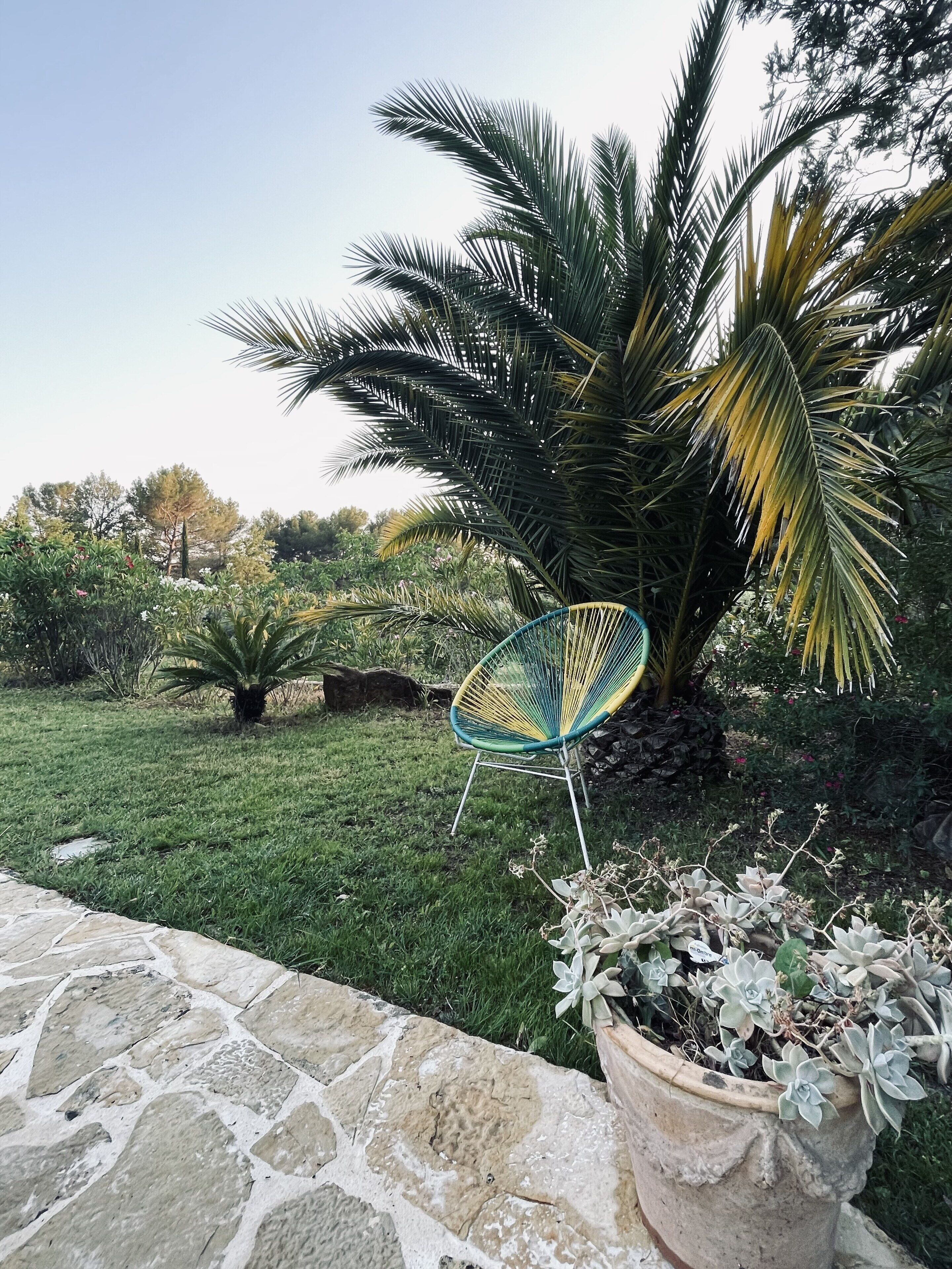 Um jardim com muro de pedra, uma cadeira e diversas plantas.