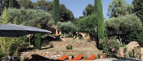 Alberca al aire libre