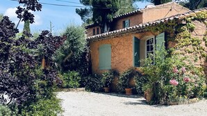 Et idyllisk hus med grusvej, omgivet af frodig vegetation og høje træer.