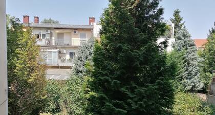 A jump from downtown