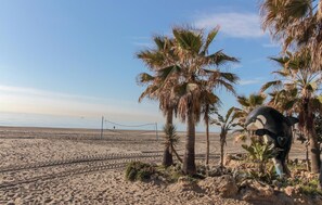 Enjoy beach activities like volleyball on the sandy shore, surrounded by palm trees and a unique orca sculpture.