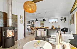 Smart-TV, Kamin