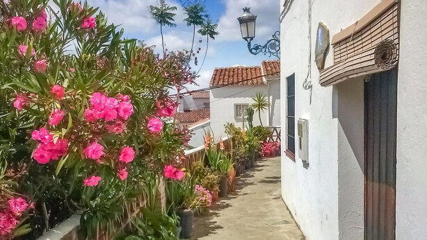 A narrow pathway flanked by white buildings with terracotta roofs, leading to a gate. - 3 bedroom nice apartment in Genalguacil (Genalguacil)
