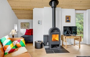 TV, fireplace - 3 bedroom lovely home in Fanø (Fanø)