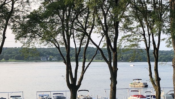 A grassy area with trees and a body of water in the background.