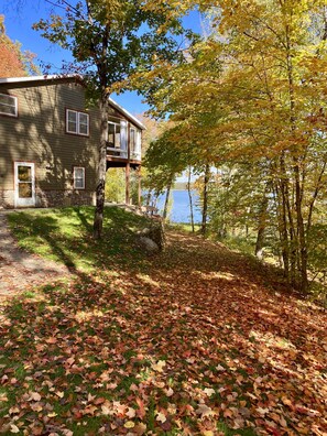 Property grounds - Treetop Lake House on Private Wooded Acreage on the Lovely Lake Mary (Emily)