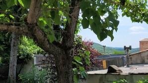 Une cour bordée d’arbres, avec un mur en pierre, une rampe en métal et une vue sur des collines lointaines.