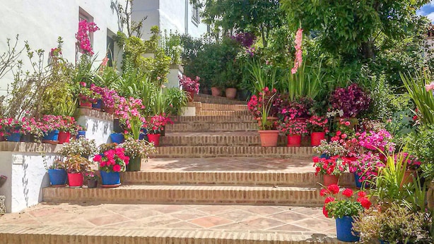 A set of outdoor stone steps leading up to a building, surrounded by various potted plants and flowers. - Nice apartment in Genalguacil (Genalguacil)