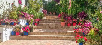 Cozy apartment in Genalguacil