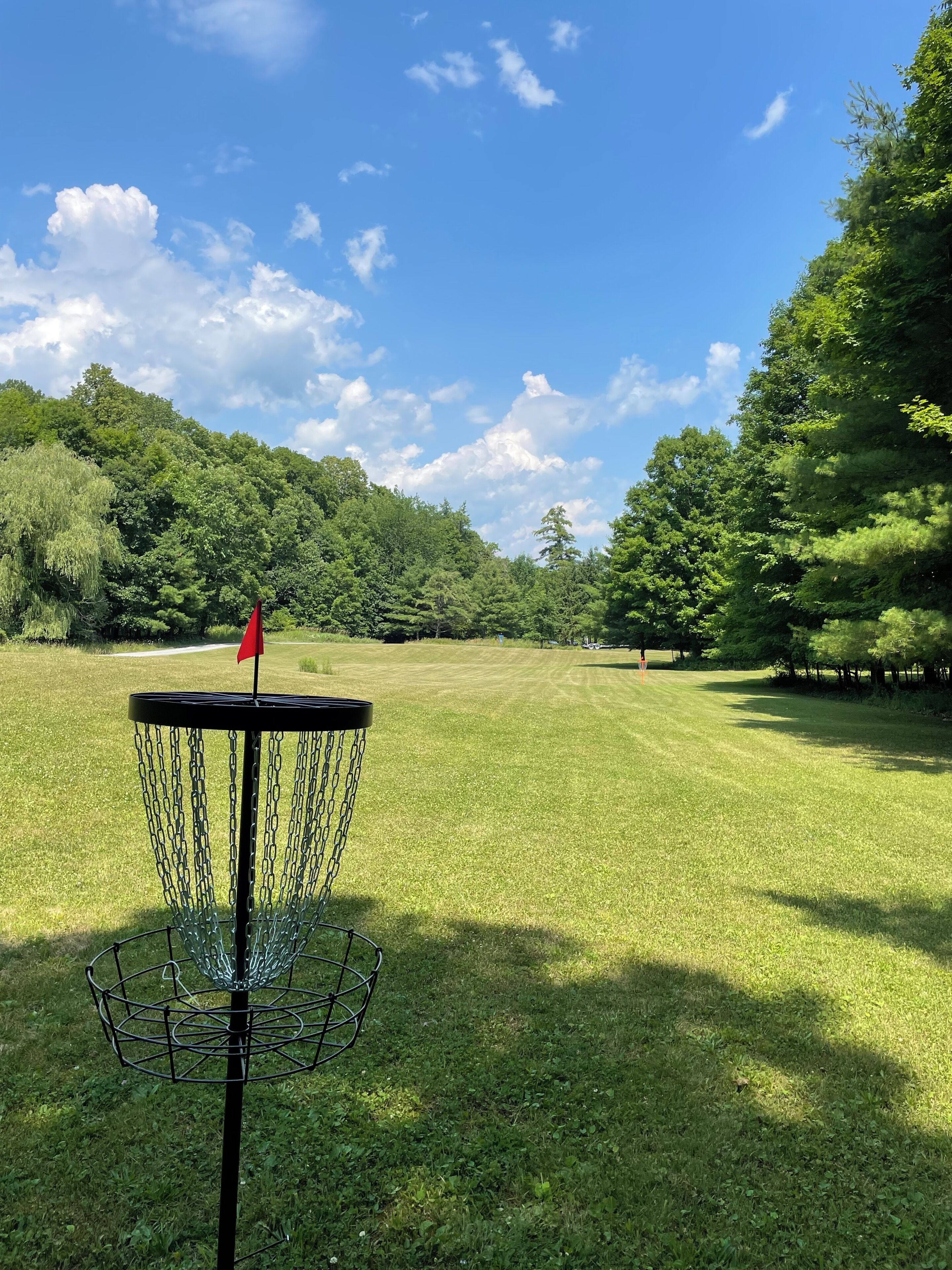 Un canasto de disc golf con una bandera roja en un campo cubierto de césped, con árboles al fondo.