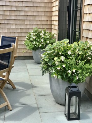 Exterior detail - Brand new upscale cottage-great location (Nantucket)