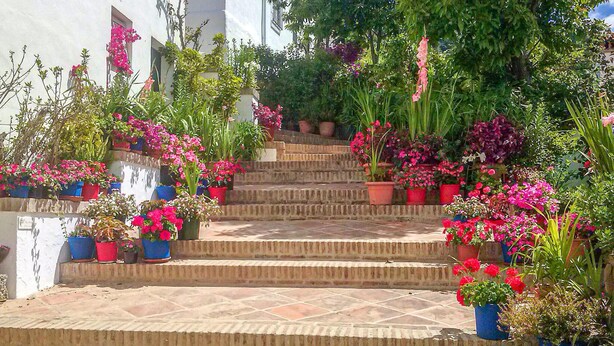 Un escalier en pierre mène à un bâtiment blanc, agrémenté de plantes et de fleurs en pot.