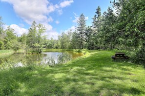 Property grounds - Beauregard - come unwind in this secluded farmhouse (Rangeley)