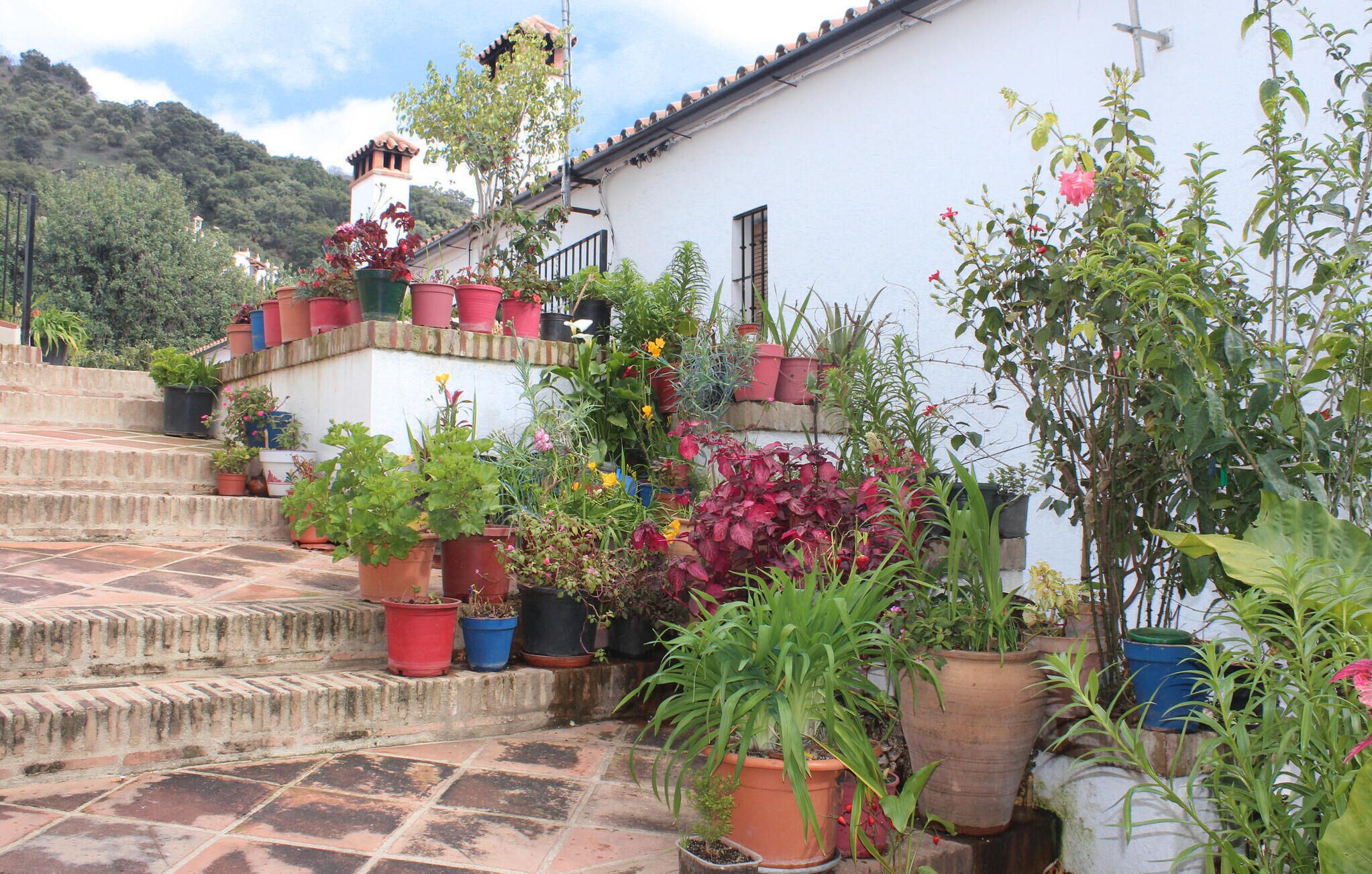 Um edifício branco com telhado em azulejos e escadaria que leva a uma varanda. Há numerosos vasos de plantas na varanda e nos degraus.