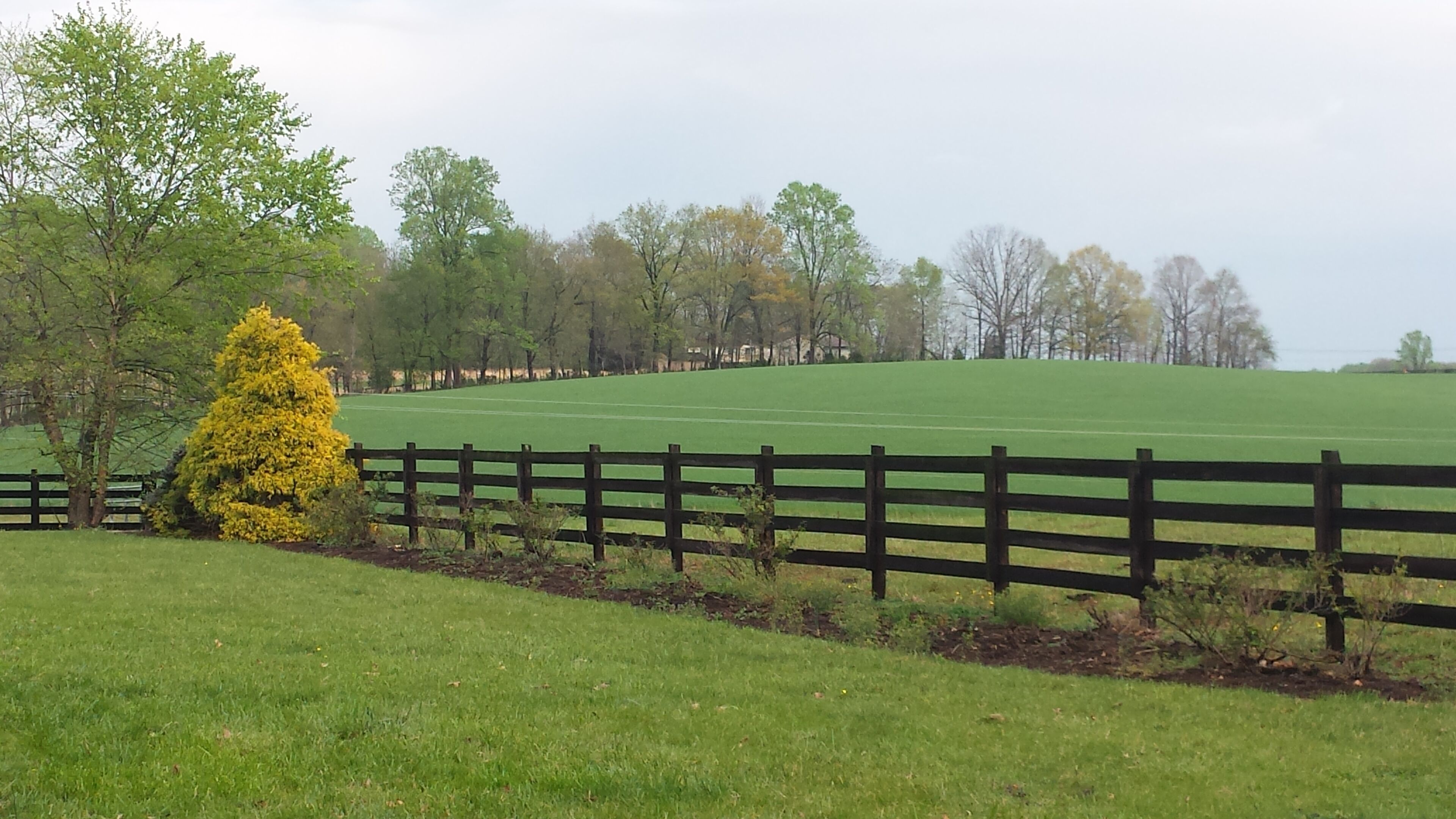 A grassy field with a wooden fence and trees in the background.