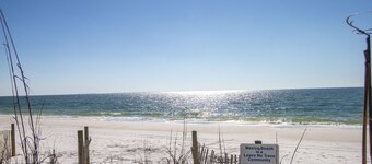 Beach Paradise - Perfect Ocean View