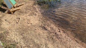 Eine Seenlandschaft mit einer Hängematte, einer Holzbank und einem Picknicktisch.