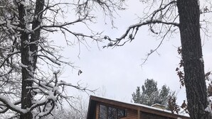 Eine moderne Holz-Blockhütte mit einer Terrasse, umgeben von schneebedeckten Bäumen und Schnee.