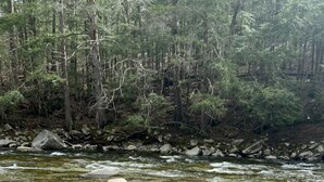 Ein Fluss mit klarem Wasser, umgeben von Felsen und Bäumen.